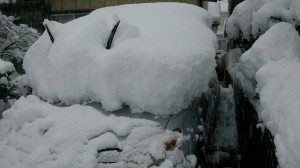 雪すごすぎ